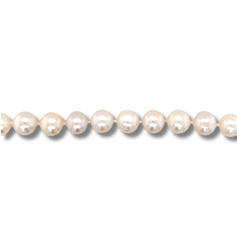 14kt Yellow Gold Akoya Pearl Bracelet