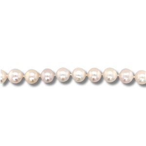 14kt Yellow Gold Akoya Pearl Bracelet