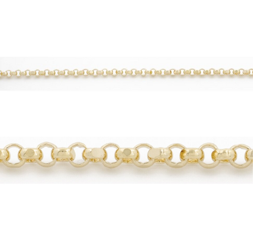 10kt Yellow Gold 20'' Rolo Chain