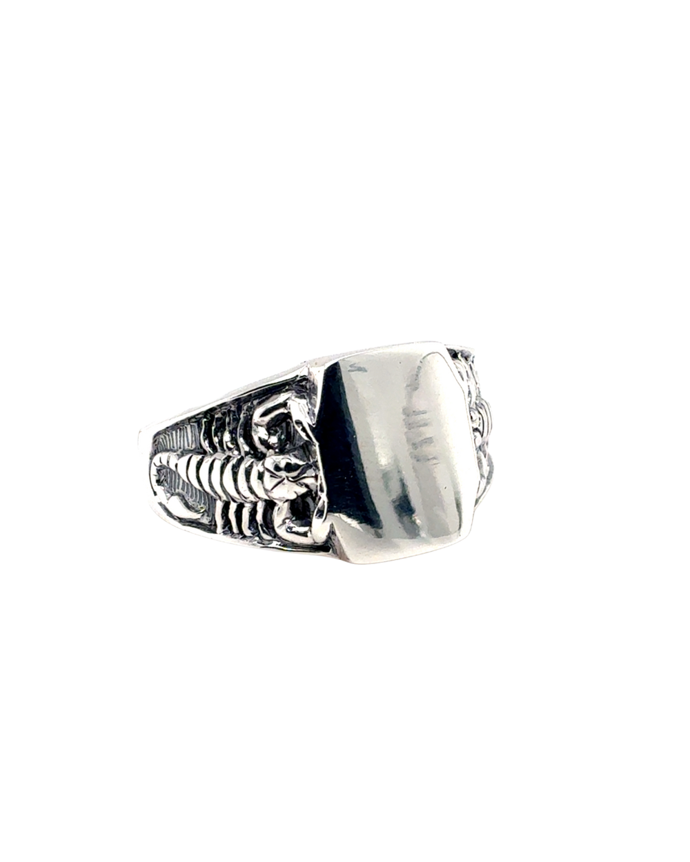 Sterling Silver Ring
