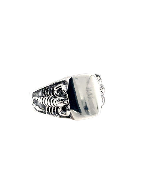 Sterling Silver Ring