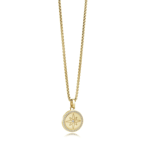 Italgem Stainless Steel Gold IP CZ Compass Star Necklace