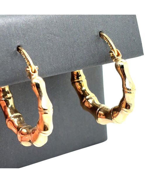 10kt Yellow Gold Fancy Hoop Earrings