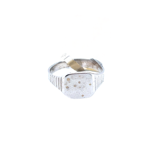 10kt White Gold Signet Baby Ring