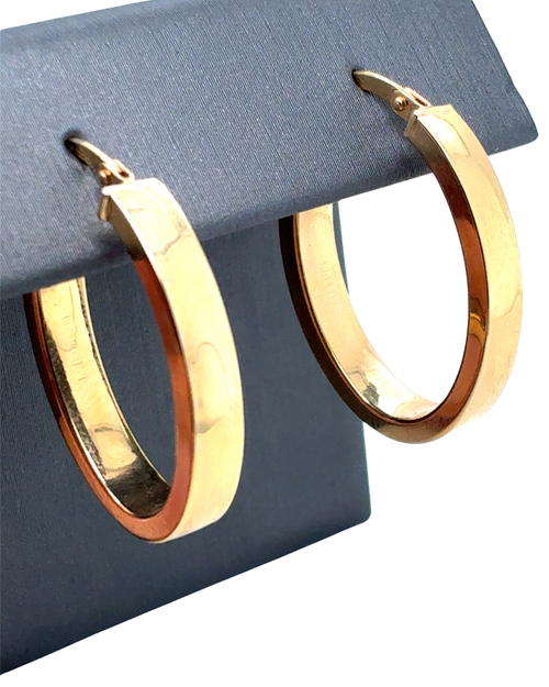 10kt Yellow Gold Fancy Hoop Earrings