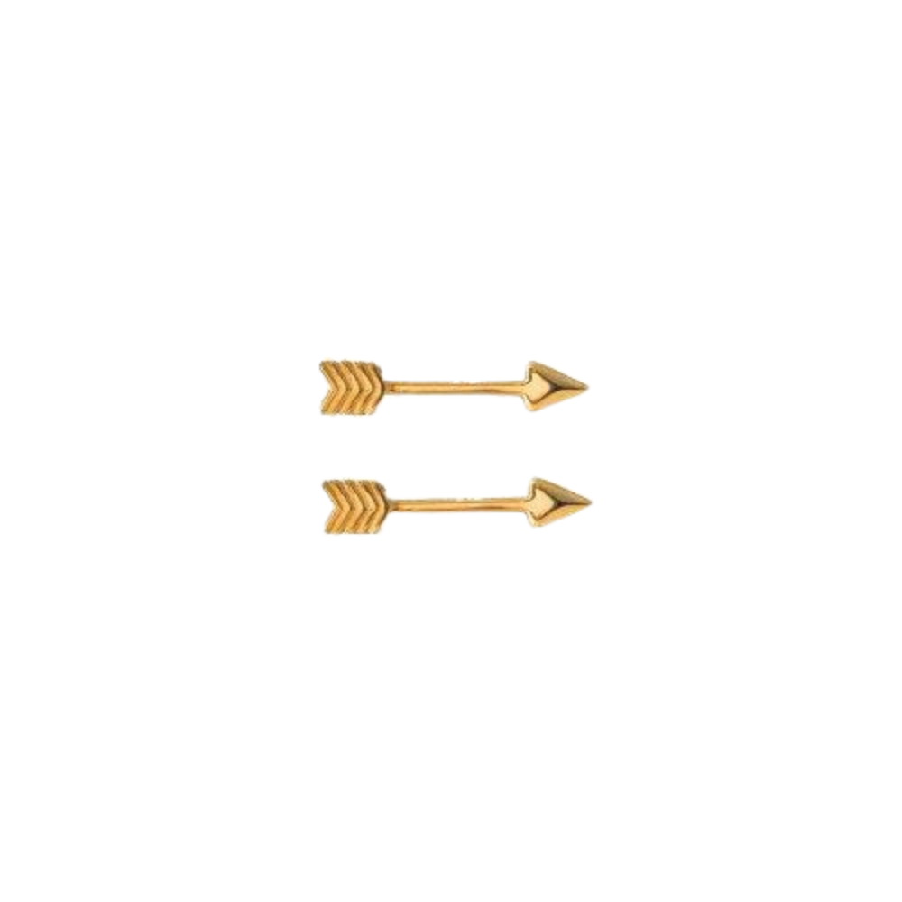 10kt Yellow Gold Mini Arrow Stud Earrings