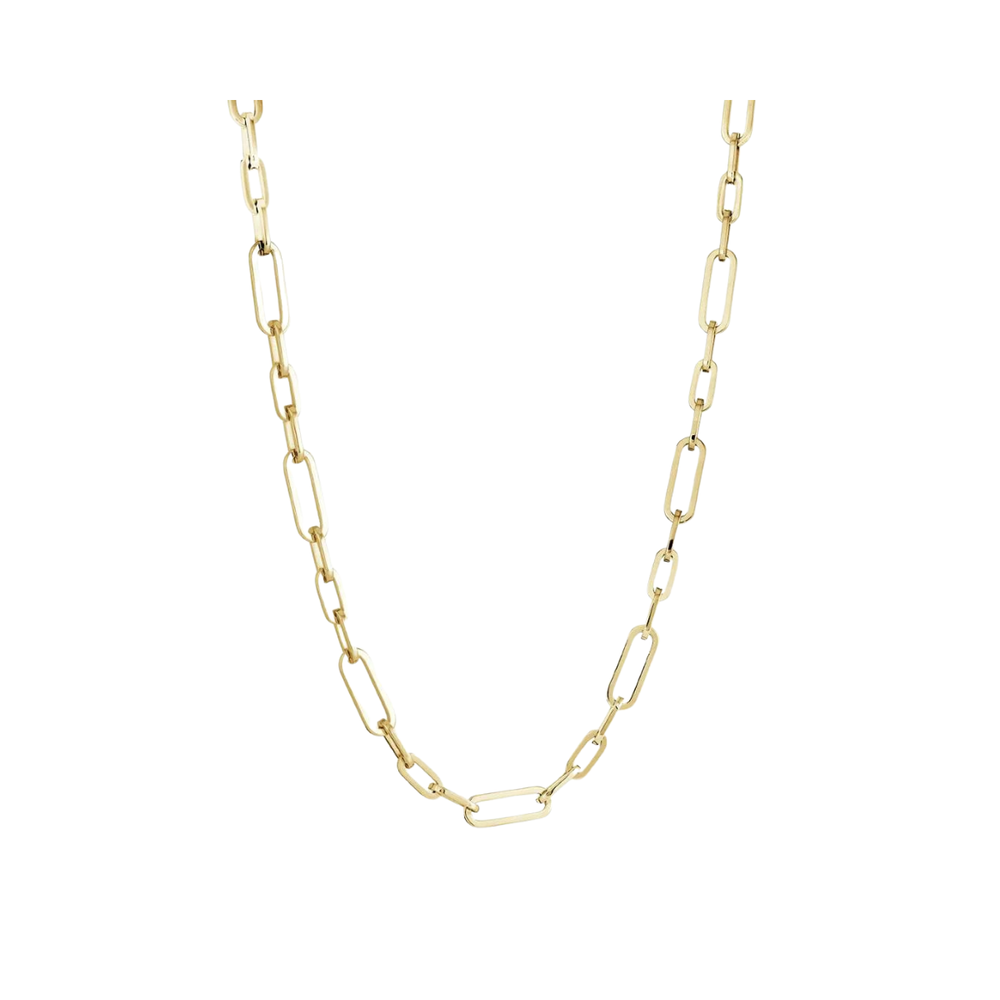 Italgem Stainless Steel Gold Plated Necklace