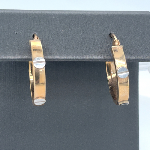 10kt Yellow Fancy Gold Hoops