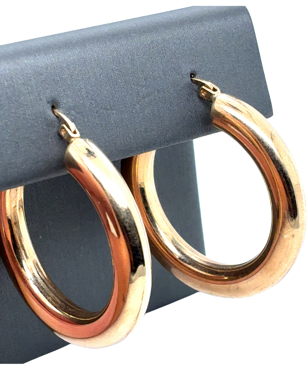 10kt Yellow Gold Fancy Hoop Earrings
