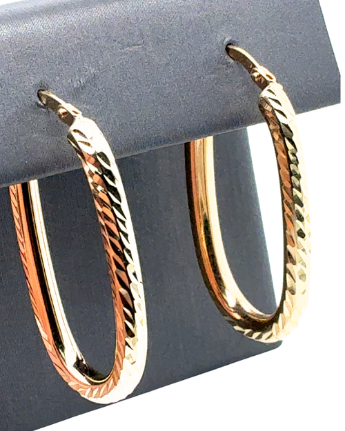 10kt Yellow Gold Fancy Hoop Earrings
