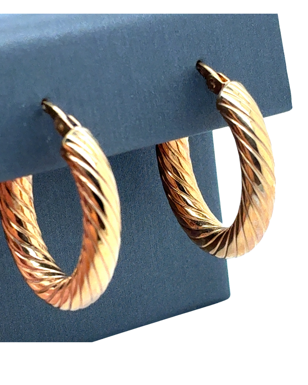 10kt Yellow Gold Fancy 19x23mm Oval Hoop Earrings