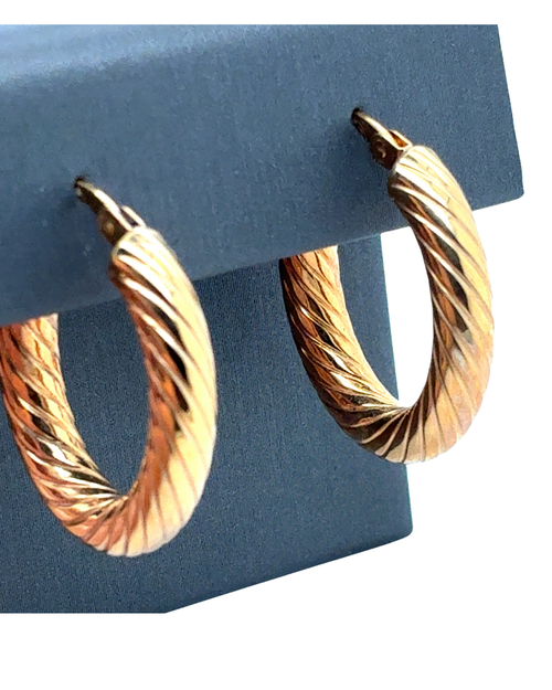 10kt Yellow Gold Fancy 19x23mm Oval Hoop Earrings