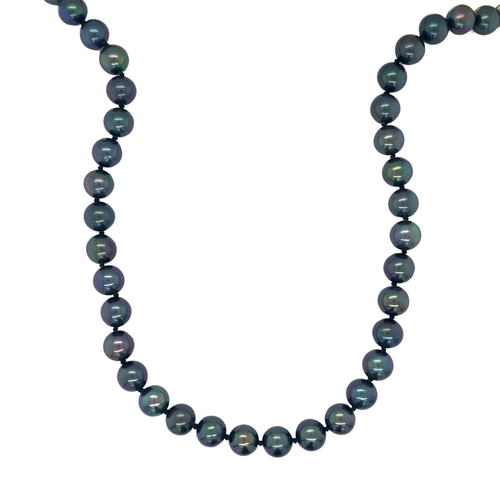 14K Yellow Gold Black Pearl strand