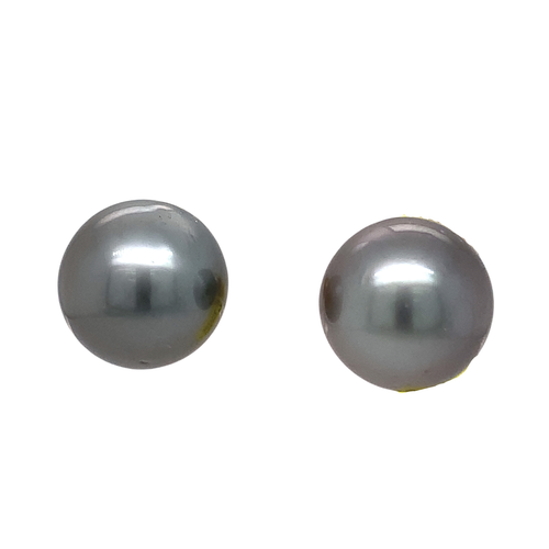 14kt White Gold Tahitian Pearl studs