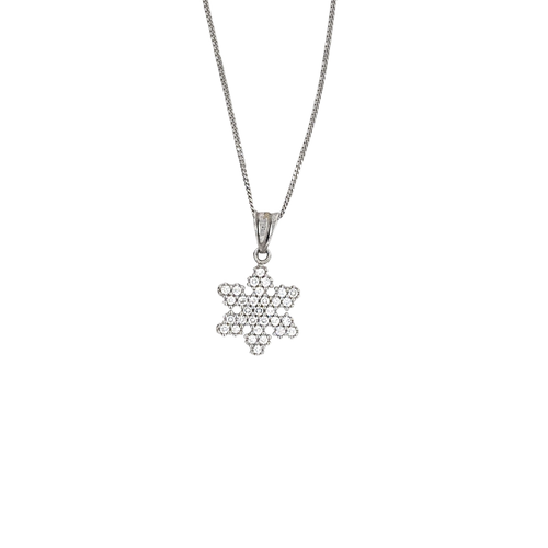 10kt White Gold CZ Snowflake Necklace