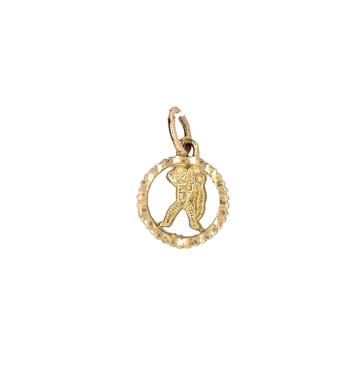 10kt Yellow Gold Aquarius Charm