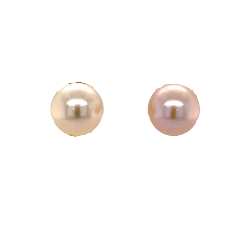 14K Yellow Gold Akoya Pearl stud earrings