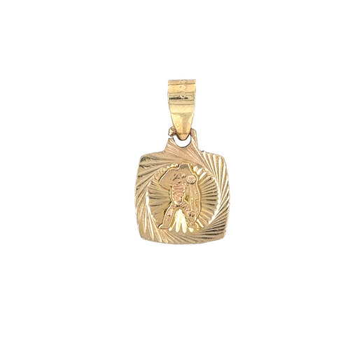 10kt Yellow Gold Aquarius Charm