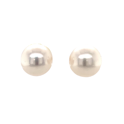 14K White Gold Freshwater Pearl stud earrings