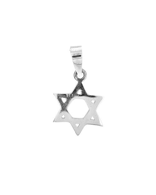 10kt White Gold Star of David Charm