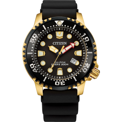 Citizen Promaster Dive Black Dial Eco Drive Watch BN0152-06E