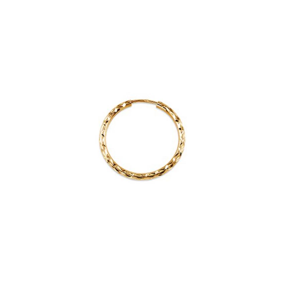 10kt Yellow Gold Diamond Cut Sleeper Earrings 19mm