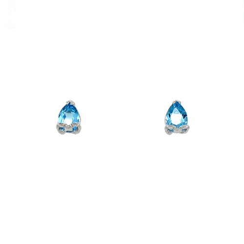 10kt White Gold Blue Topaz Earrings