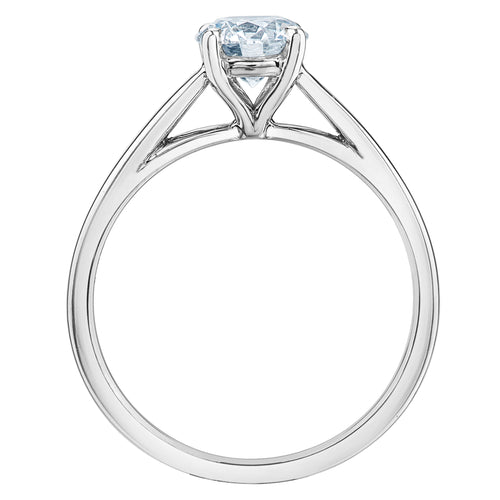 The Cathedral Classic - Round Brilliant Lab Grown Diamond Solitaire - Customizable Engagement Ring