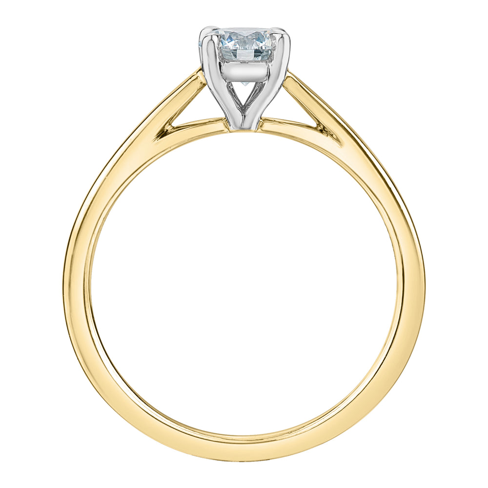 The Cathedral Classic - Round Brilliant Lab Grown Diamond Solitaire - Customizable Engagement Ring