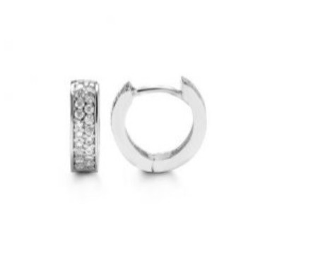 10kt White Gold Double Row CZ Hoop Earrings